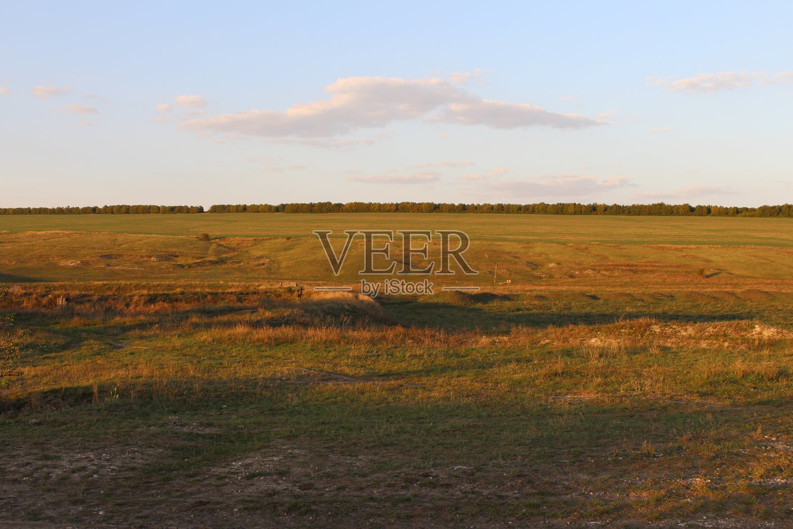 一片草地照片摄影图片