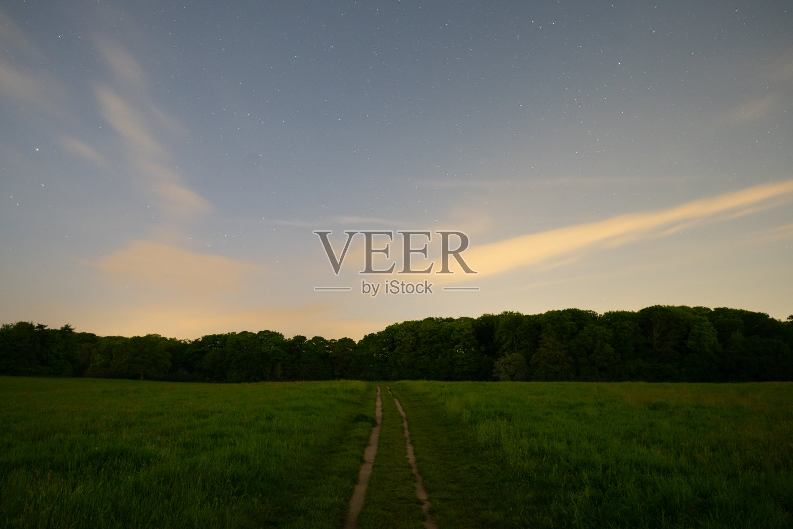 夜间田间的庄稼照片摄影图片