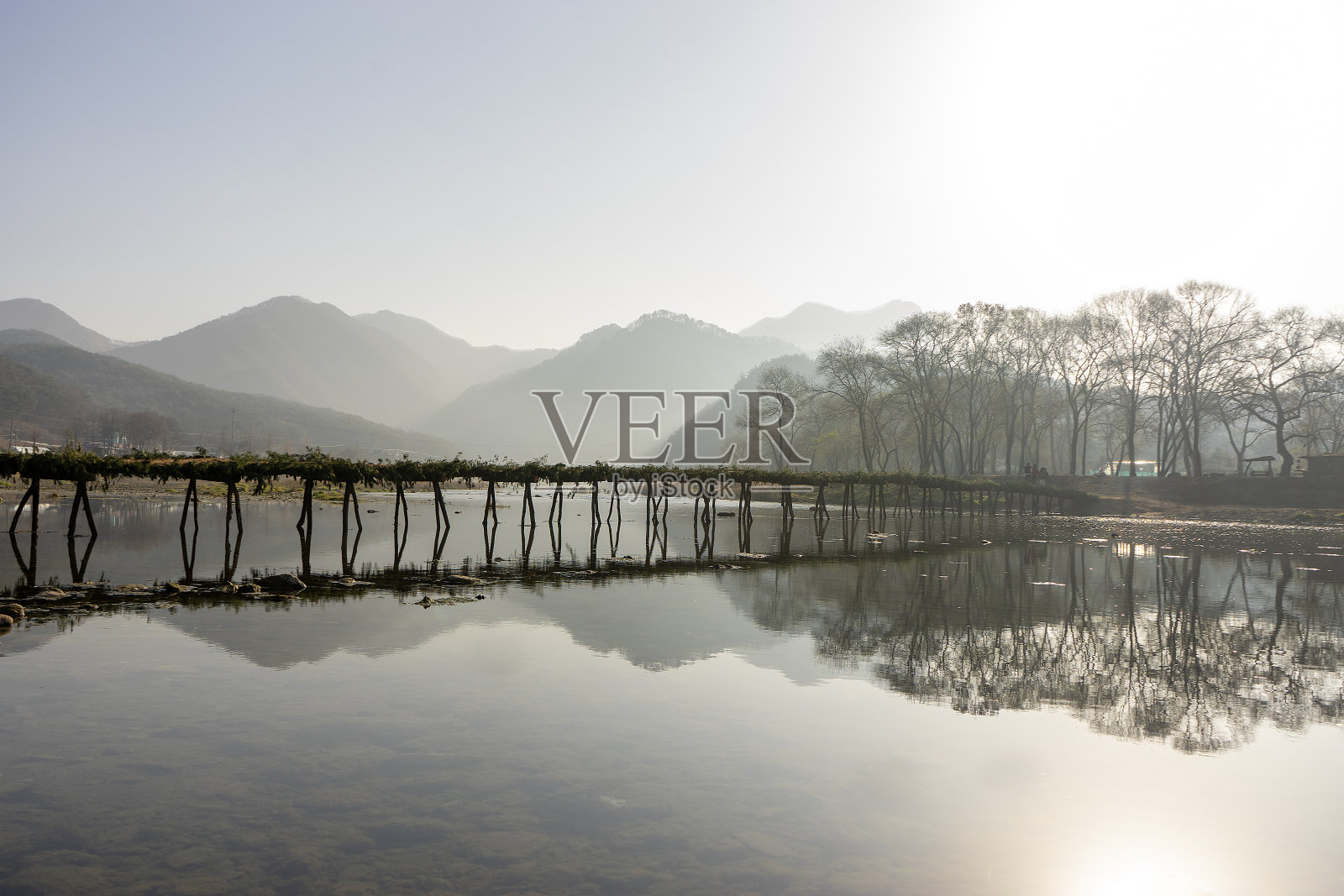 河边的风景照片摄影图片