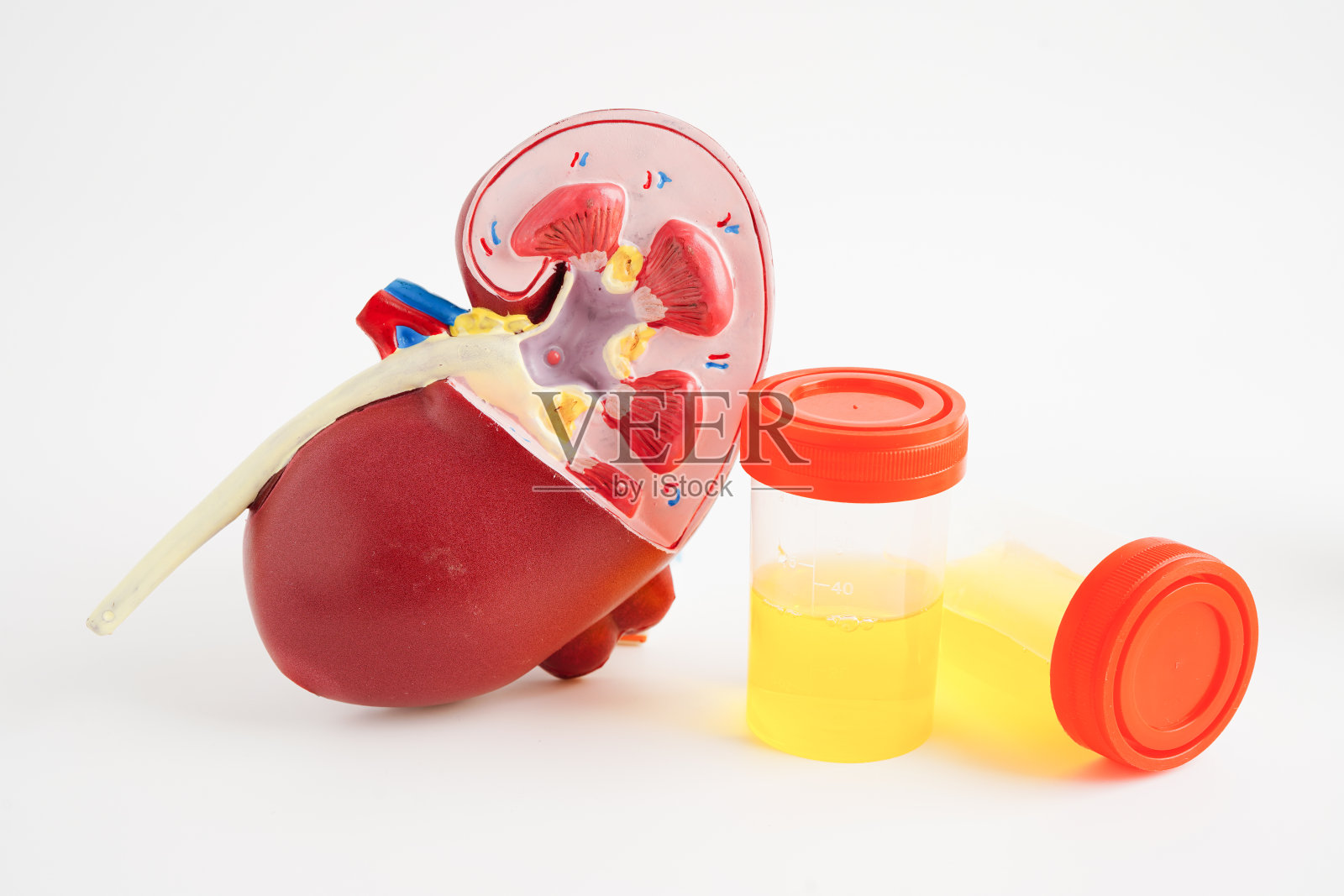 尿液分析，肾脏和尿杯检查在实验室进行健康检查。照片摄影图片