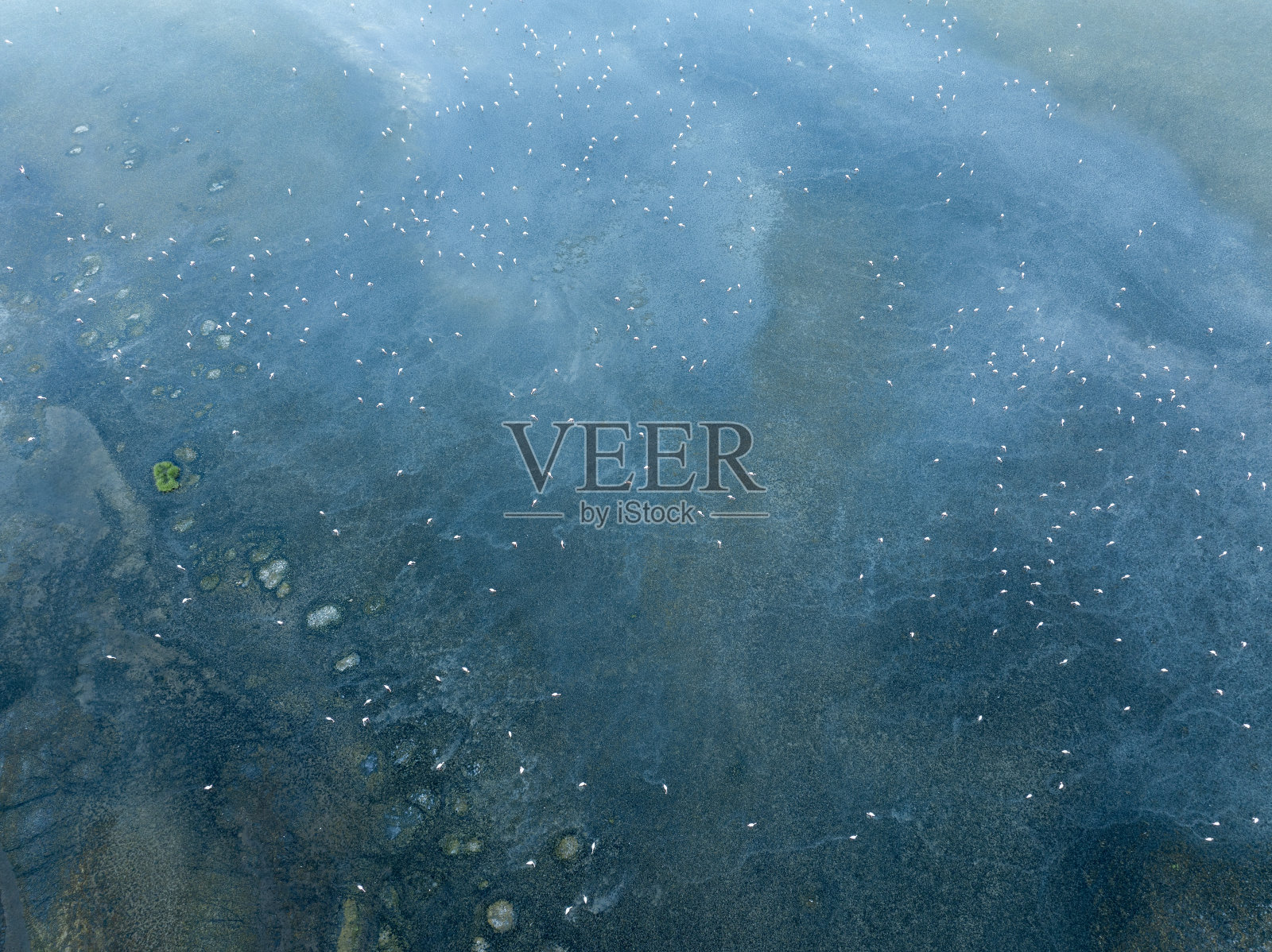 自然的形状和纹理照片摄影图片