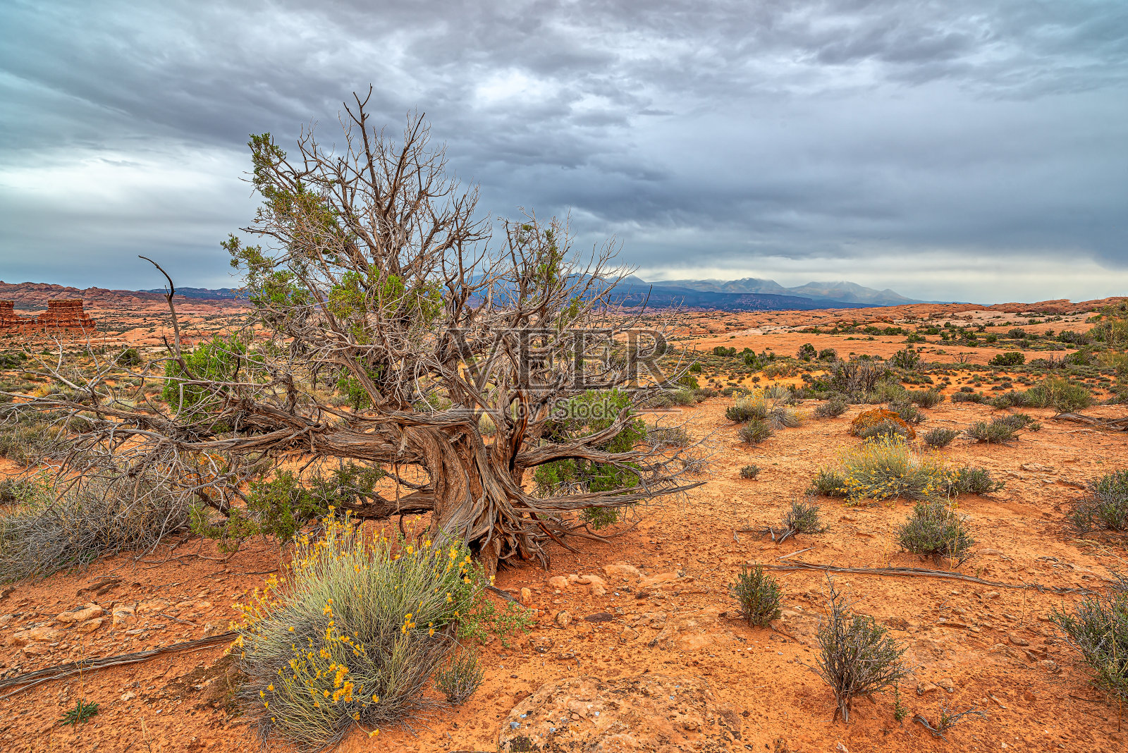 拱门国家公园照片摄影图片