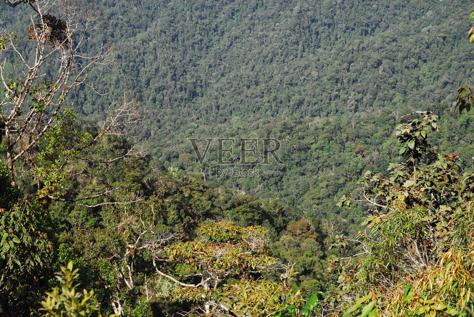 自然与旅游照片摄影图片
