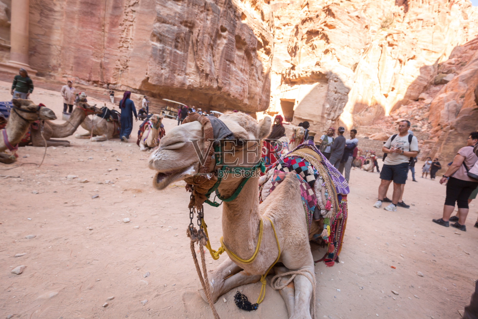 一群游客和骆驼在佩特拉古城照片摄影图片