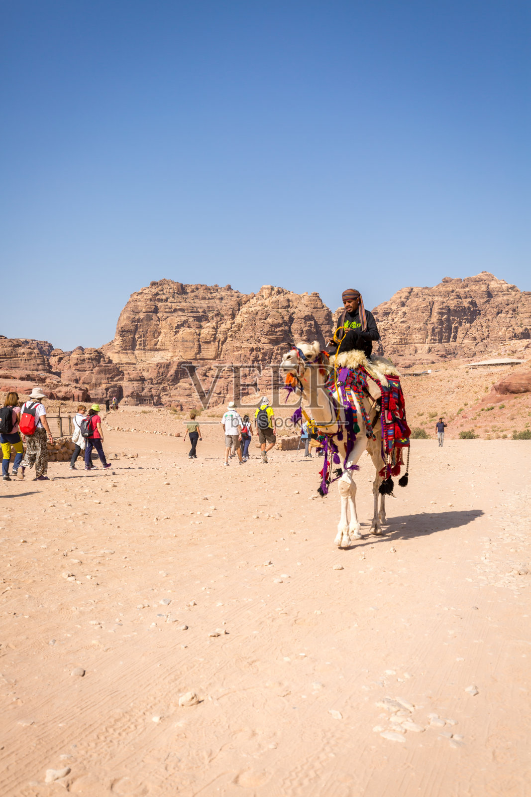 约旦佩特拉古城的游客和骆驼群照片摄影图片