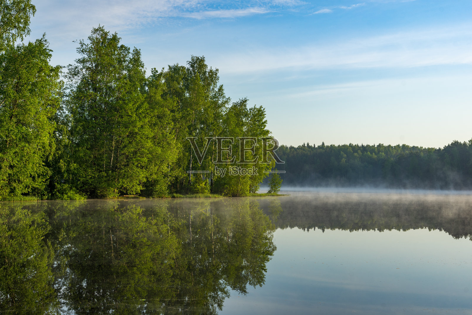 清晨的湖泊和森林景观照片摄影图片