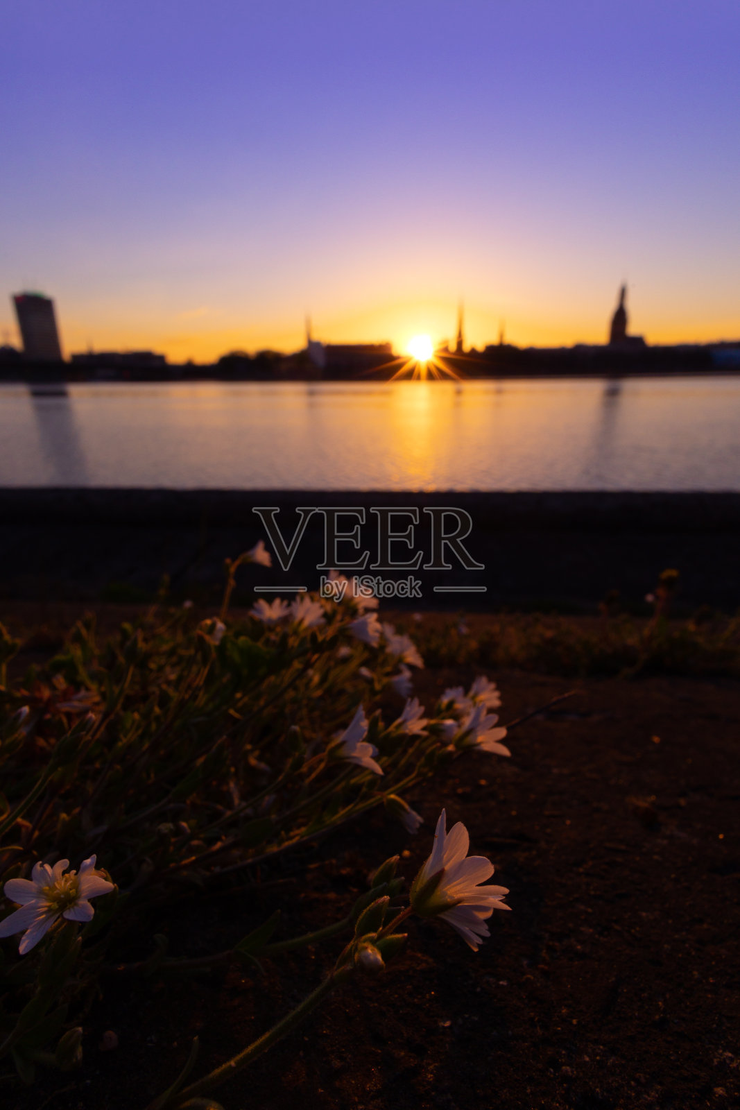 拉脱维亚里加，夏日日出时美丽的市中心全景。照片摄影图片