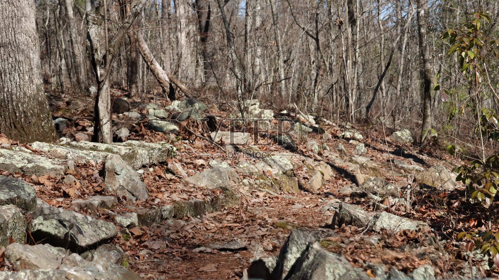 以色利前进党的崎岖之路照片摄影图片
