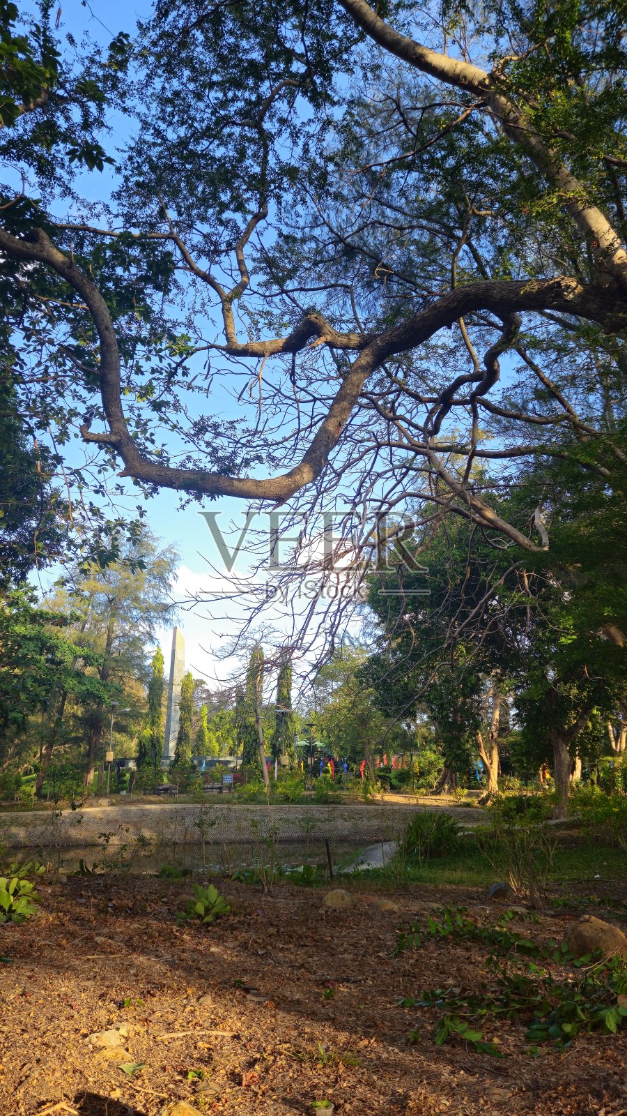 热带森林和湖泊在Hang Duong墓地，Con Son岛，越南被称为Con Dao岛日落。照片摄影图片