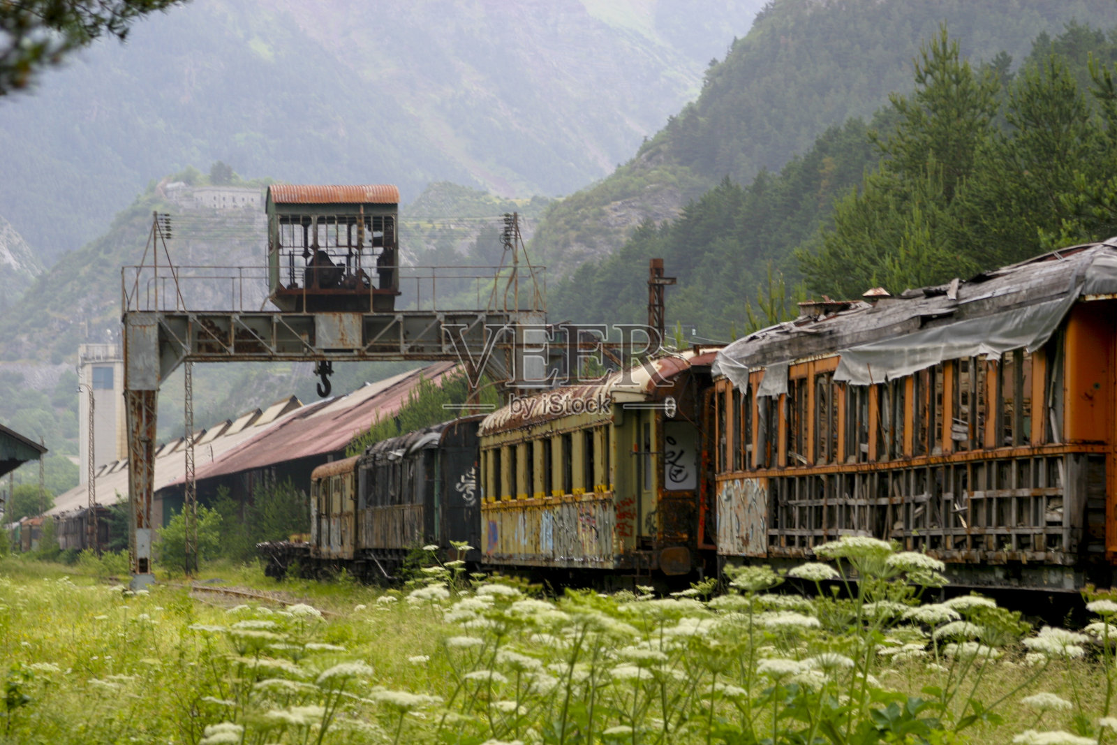 西班牙-阿拉贡-韦斯卡-加纳- 2006-06-17照片摄影图片