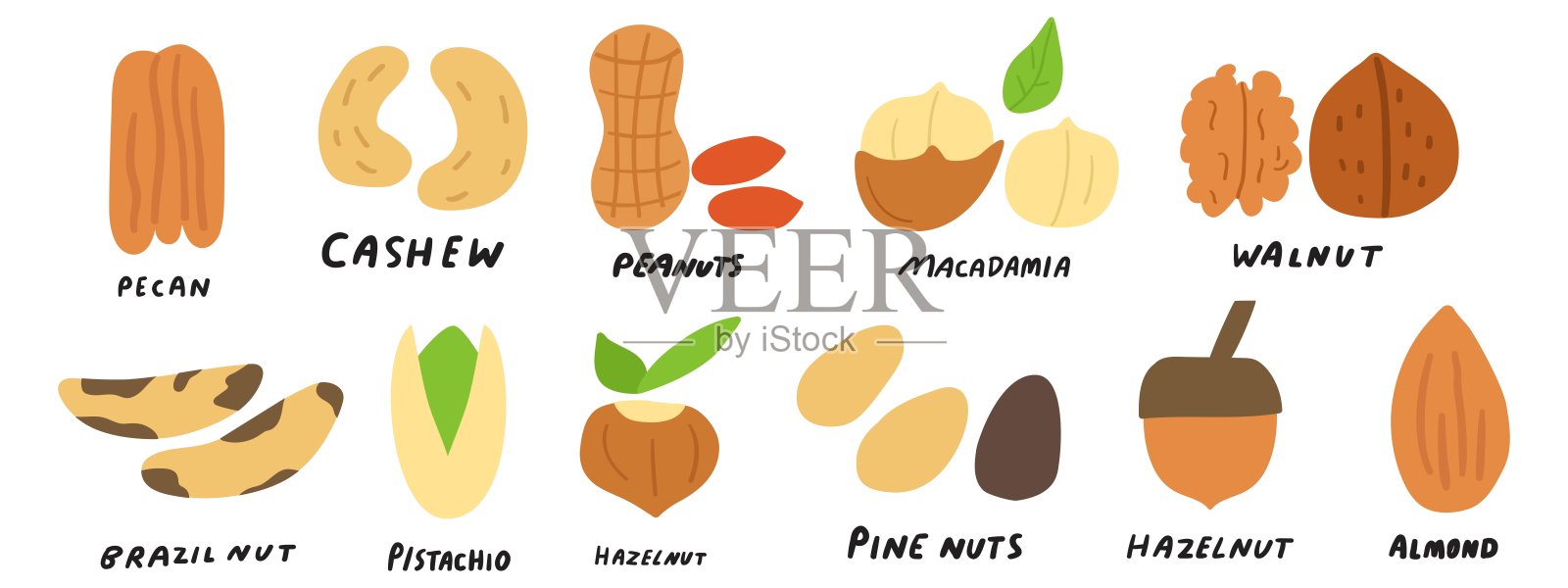 一套坚果。插画图片素材