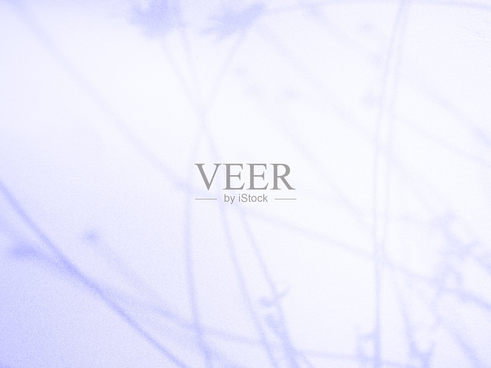 紫色背景抽象背景渐变模糊纹理地板墙壁粉彩阴影场景模型产品化妆品美容演示销售促销夏季空覆盖叶子水泥平台。照片摄影图片