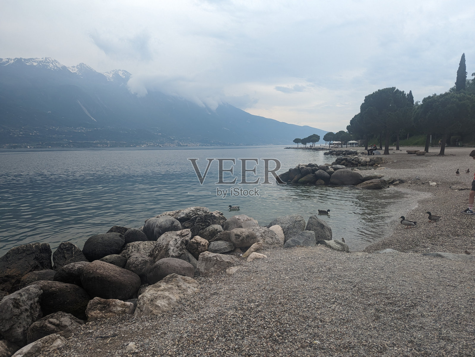 湖边柠檬照片摄影图片