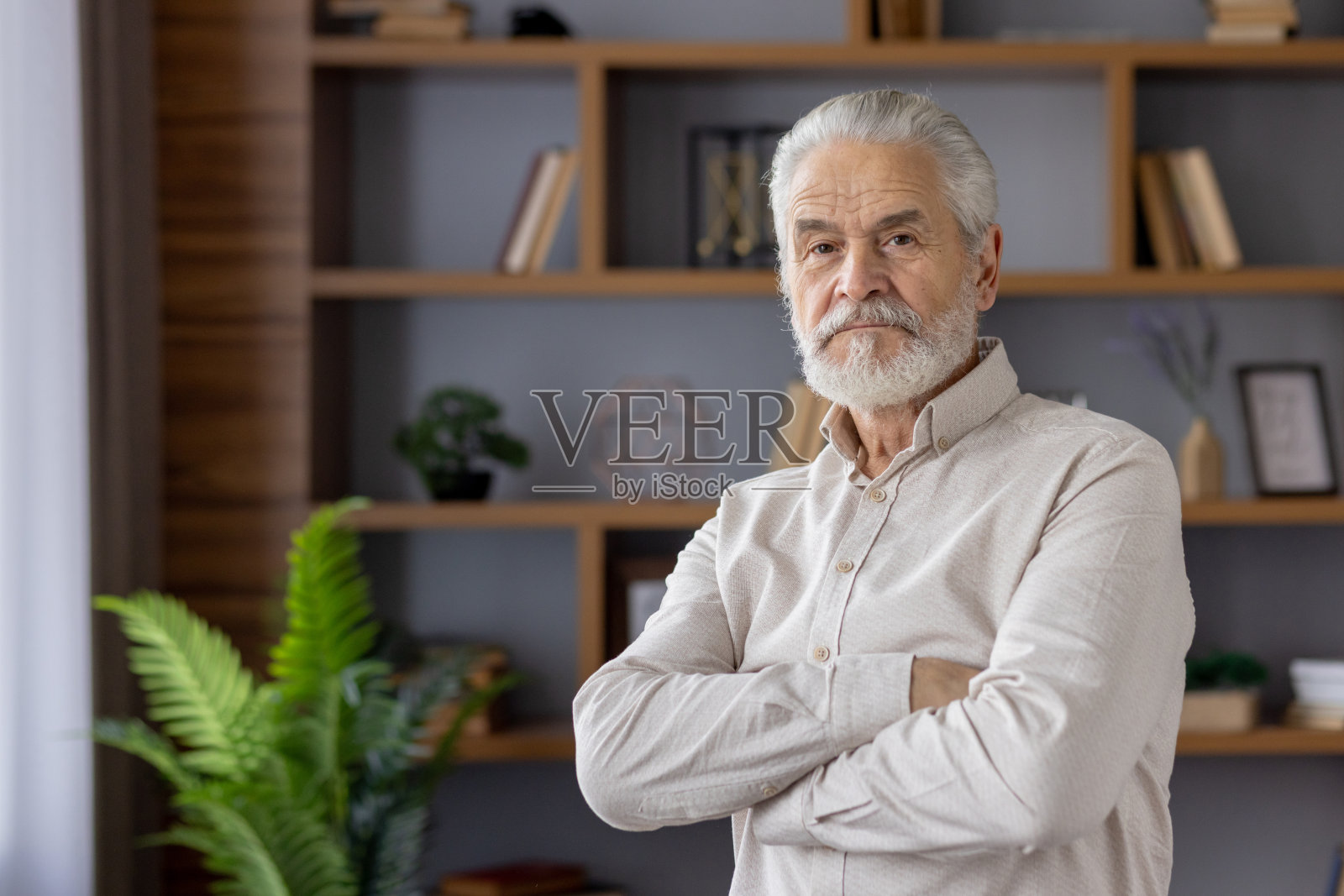 一个严肃的白发老人的肖像，留着胡子，穿着衬衫站在办公室里，双臂交叉在胸前，自信地看着镜头照片摄影图片