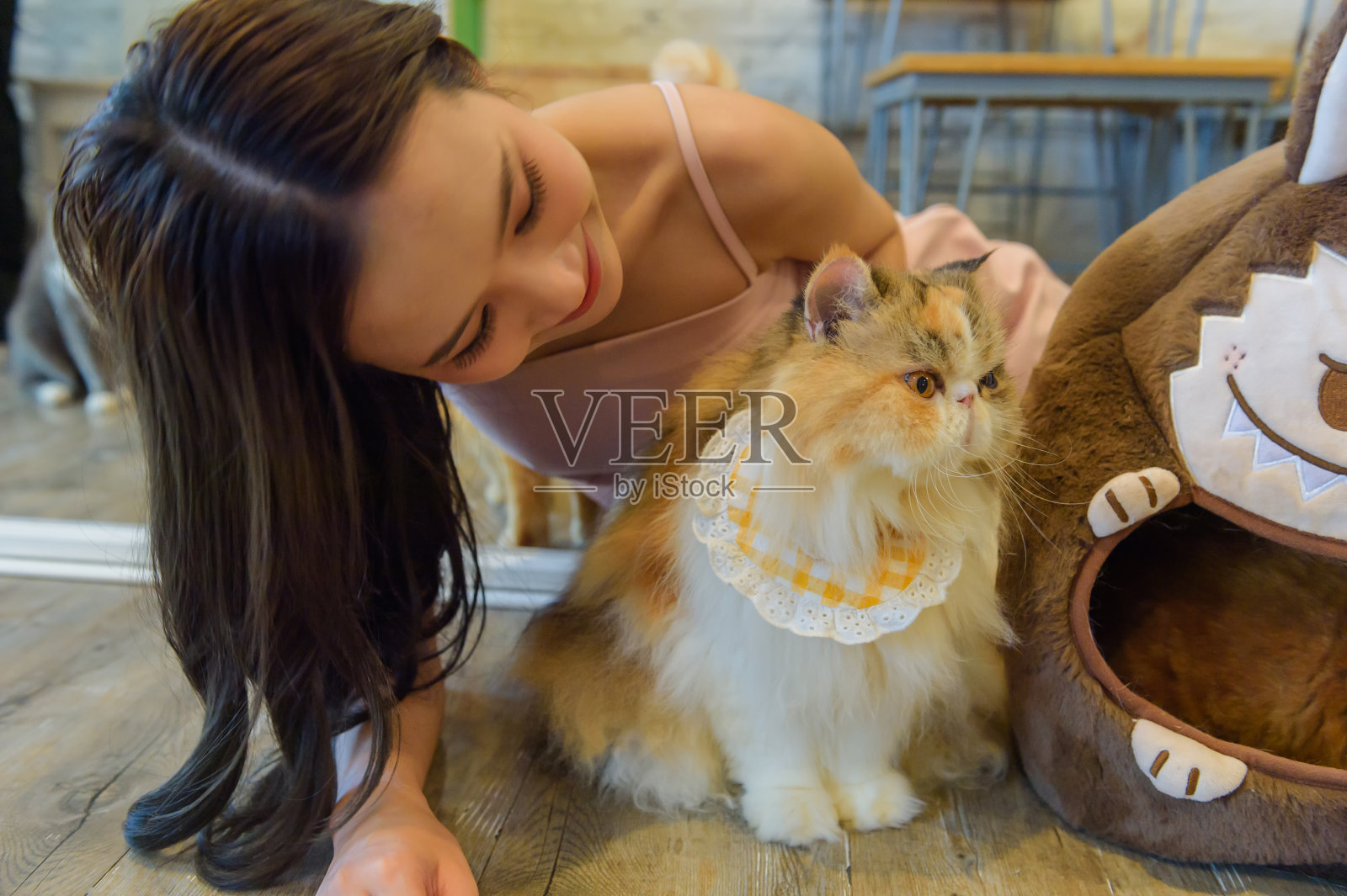 猫和女人照片摄影图片