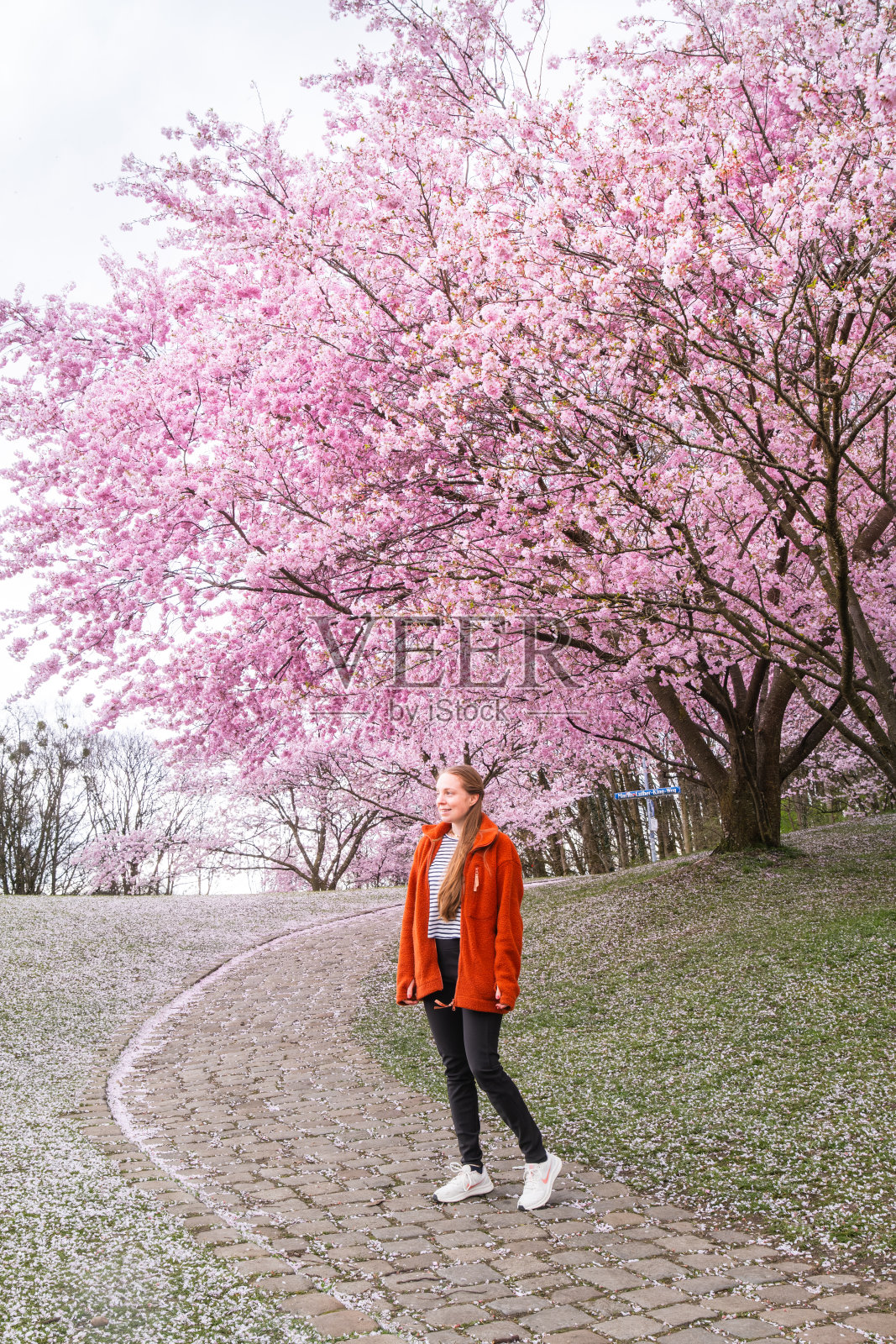 Olympiapark照片摄影图片