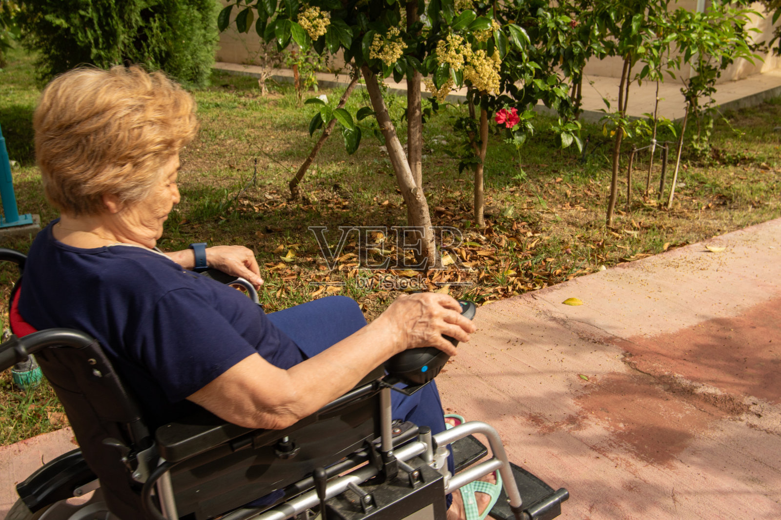 这位老妇人坐着电动轮椅在花园里走来走去照片摄影图片