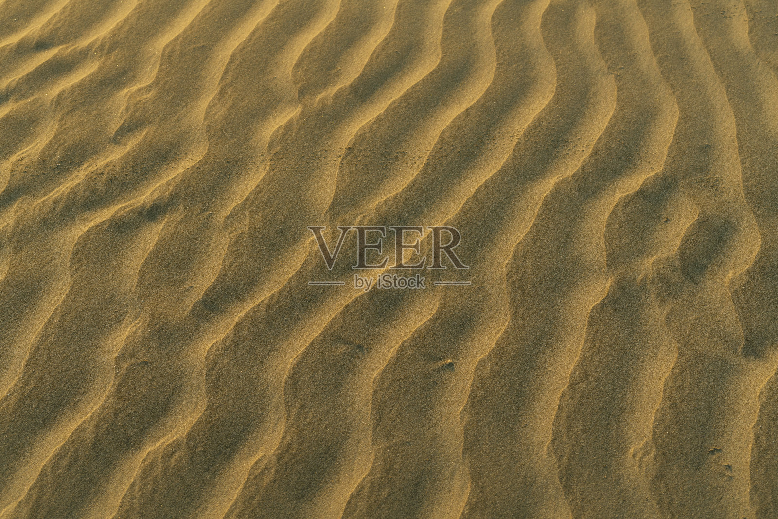 沙滩照片摄影图片