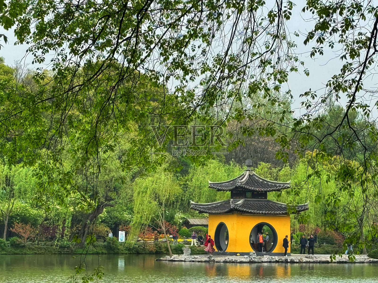 春天的瘦西湖照片摄影图片