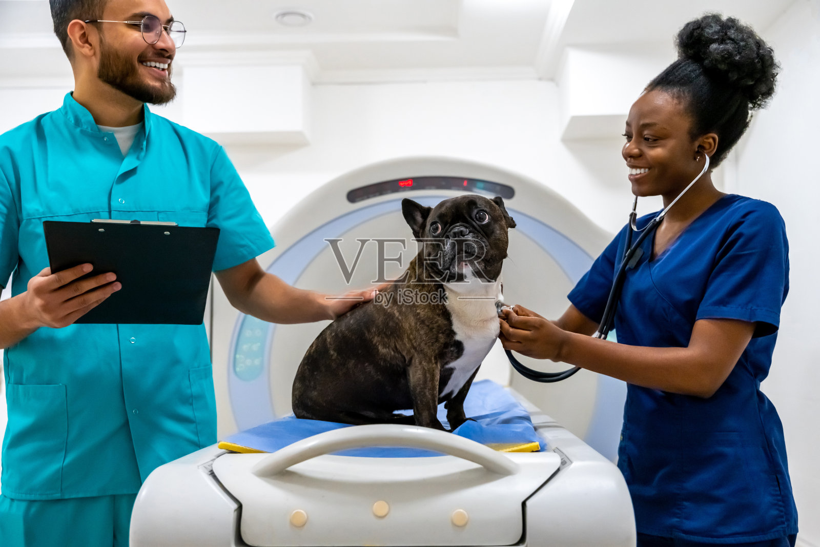 狗狗在诊所接受医生的检查照片摄影图片