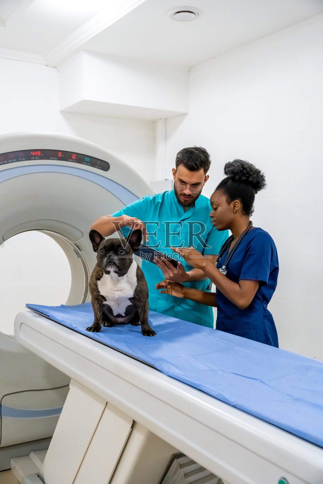 两位兽医正在讨论治疗病狗的方法，看起来很投入照片摄影图片