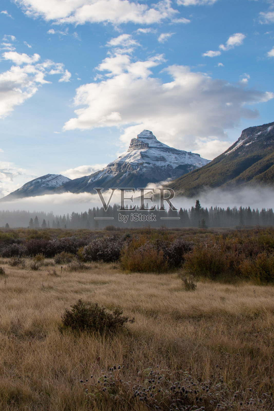 班夫国家公园，落基山脉，阿尔伯塔，黄金时间，秋天，秋天的颜色，金色的落叶松，风景优美，景观，雄伟，山脉，惊险，充满活力，树叶，风景如画，宁静，宁静，自然，荒野，自然美，令人惊叹，阳光照片摄影图片