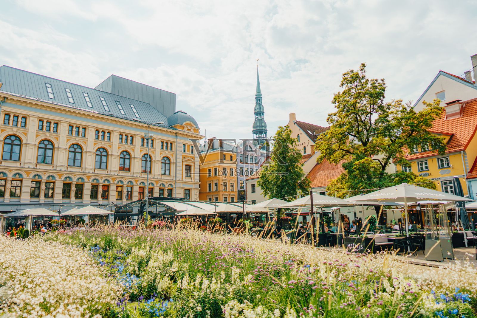 里加美丽的夏日，有历史建筑、户外咖啡馆和花园照片摄影图片