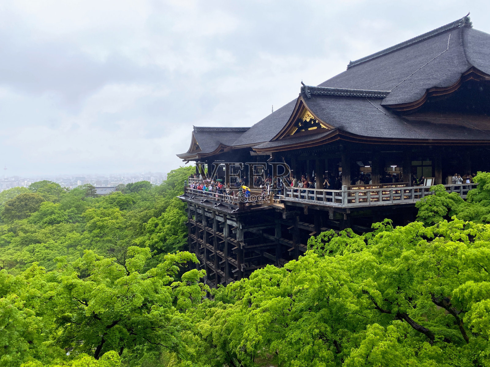 在日本京都的一个下雨天，人们站在树木环绕的著名的清水寺的大甲板上。照片摄影图片