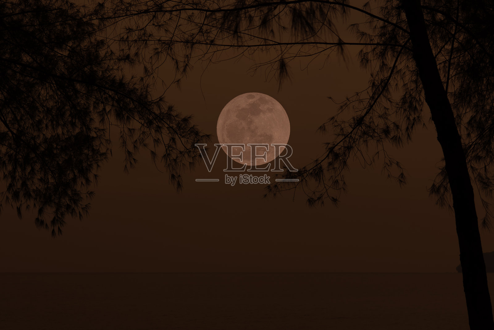 海上的满月。照片摄影图片