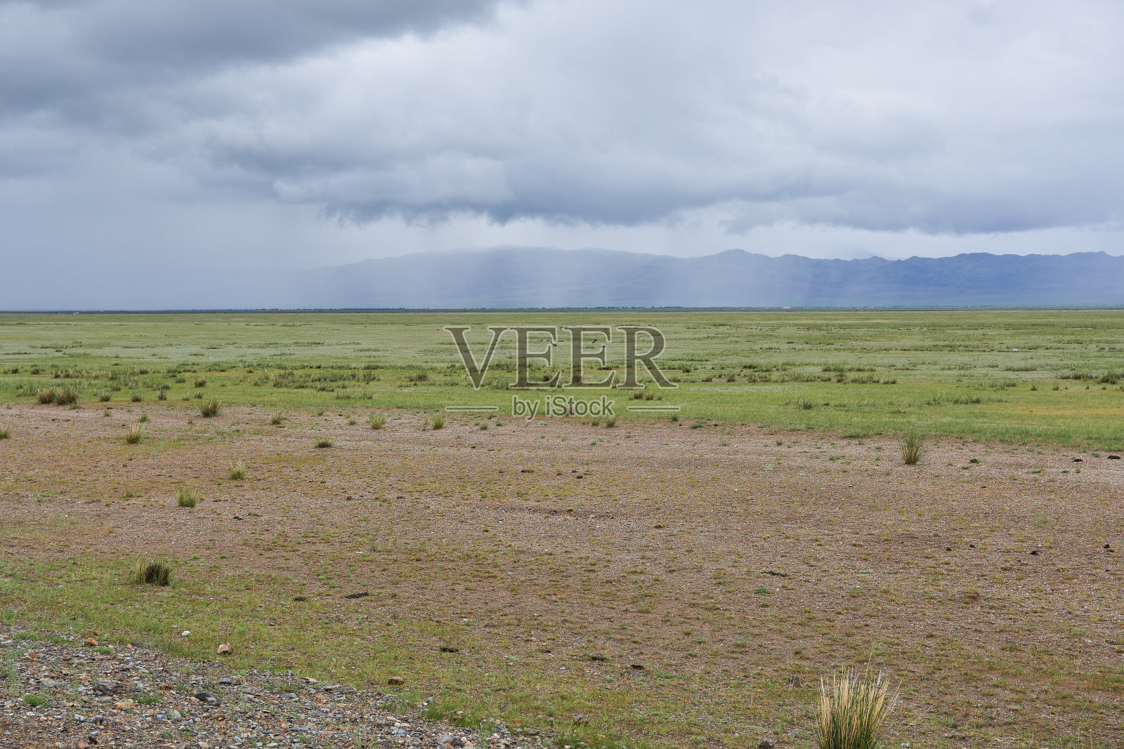 蒙古大草原上孤独的草原。照片摄影图片