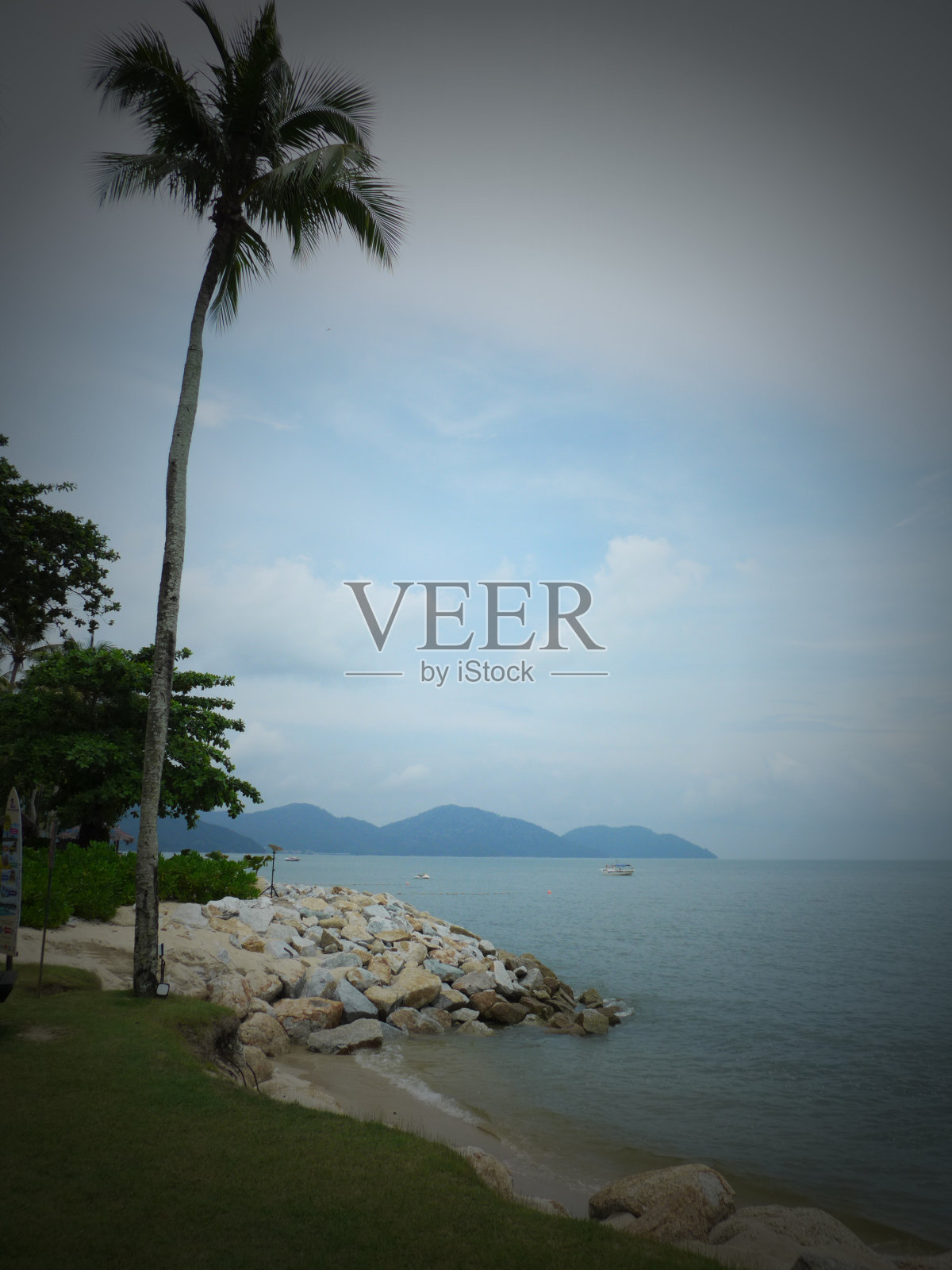 这种美照片摄影图片