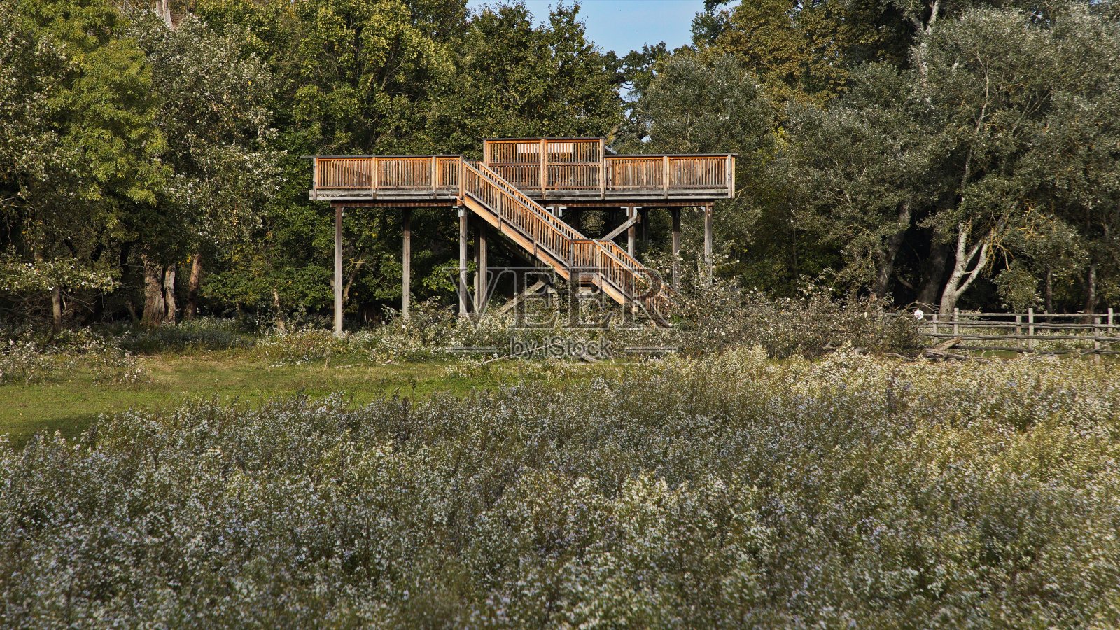 穿越欧洲奥地利Gänsendorf地区Marchegg漫滩森林的徒步小径上的观景台照片摄影图片