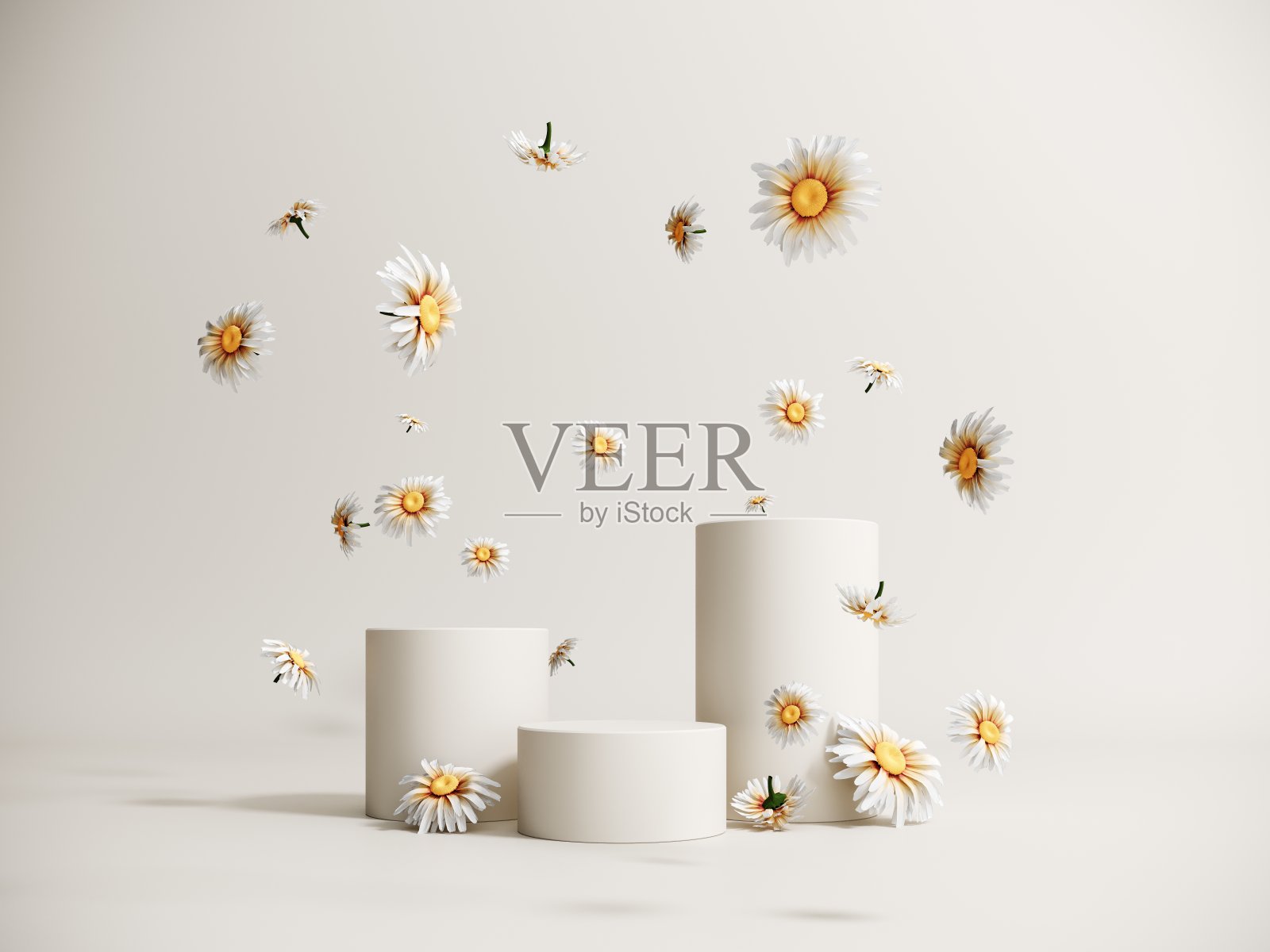 3d春天的讲台，显示与雏菊轻粉彩背景照片摄影图片