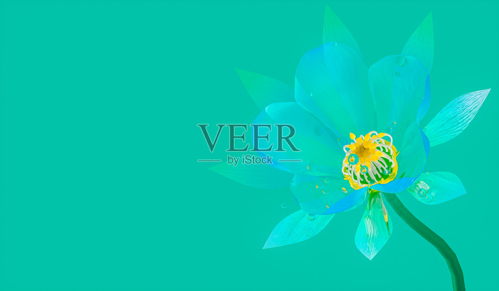 抽象水晶绿色花朵盛开与水滴孤立的背景。3 d渲染。照片摄影图片