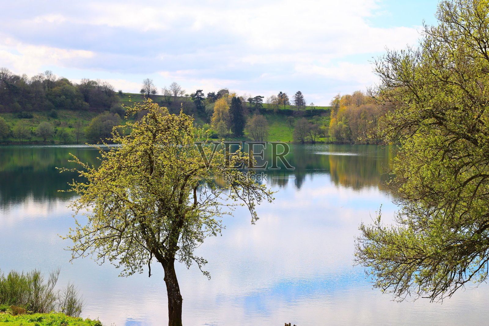 埃菲尔铁塔美丽的春日照片摄影图片