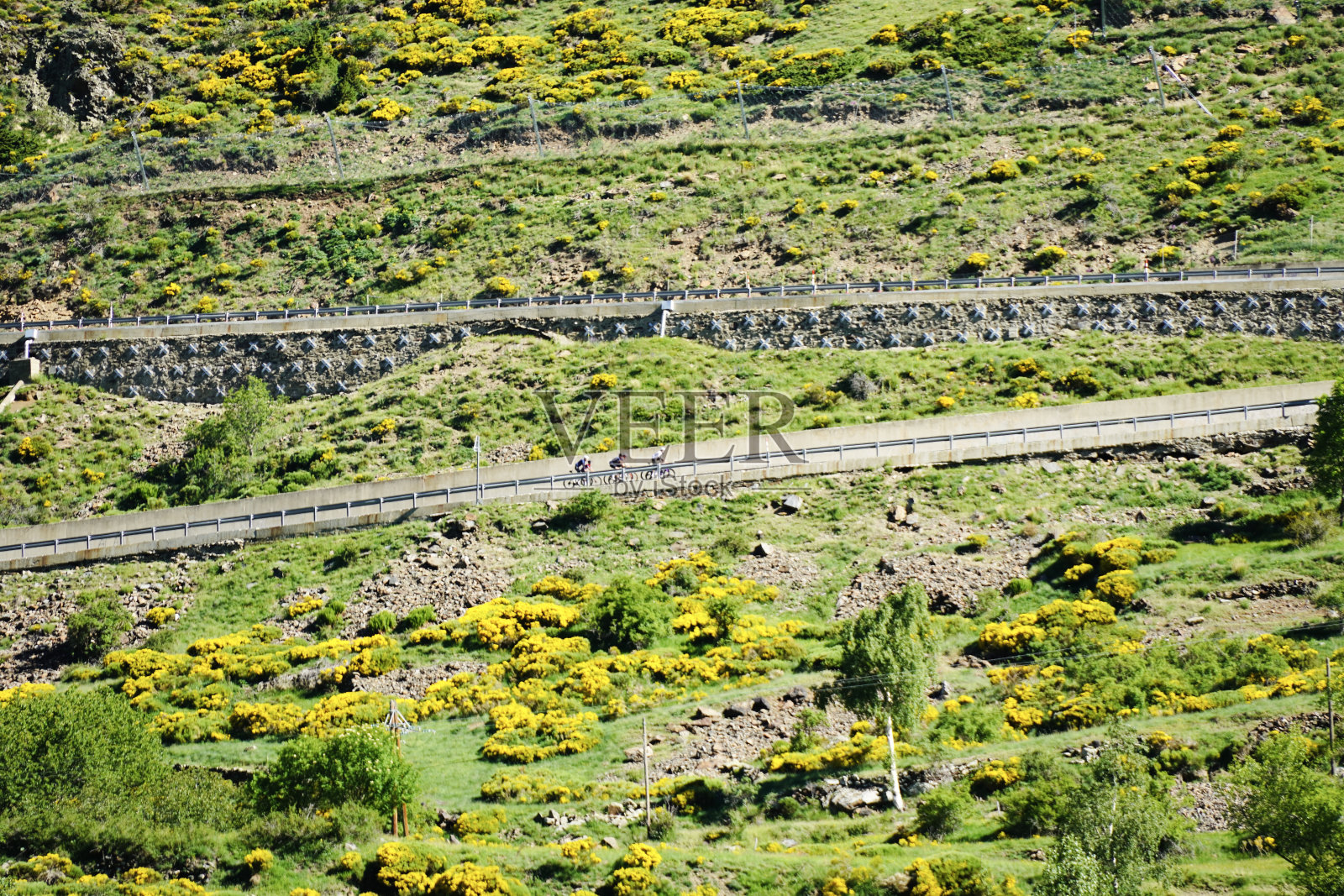 一群骑自行车的人在爬山。照片摄影图片