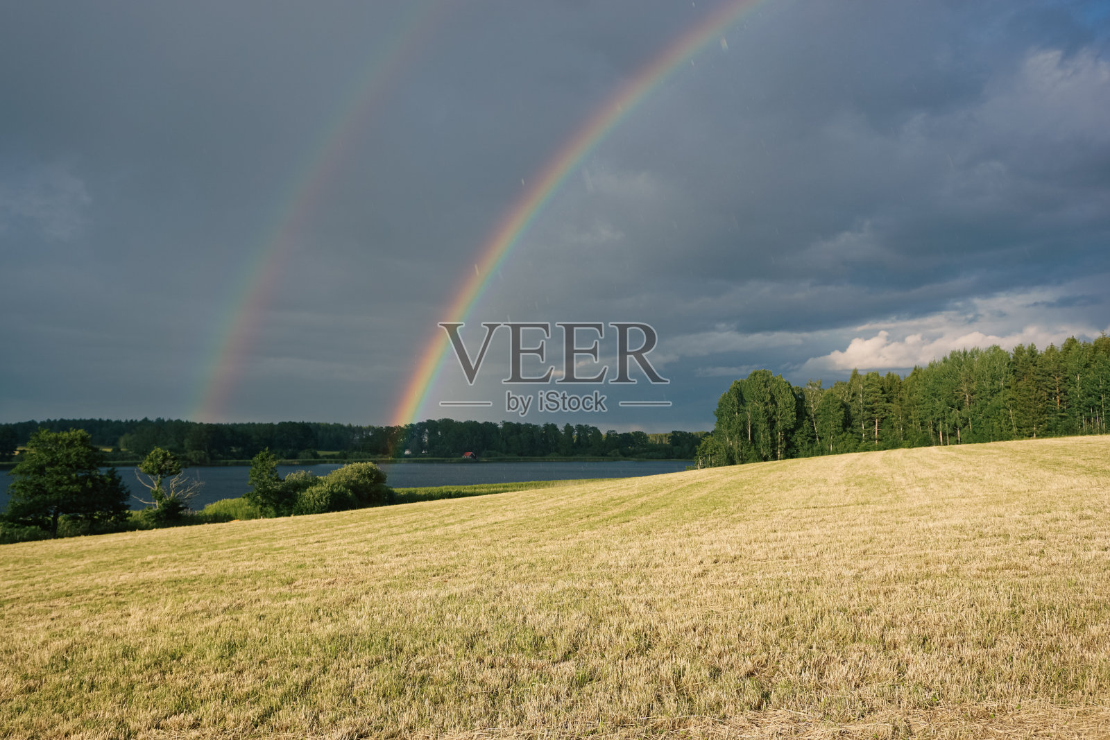 夏天田野上的彩虹照片摄影图片
