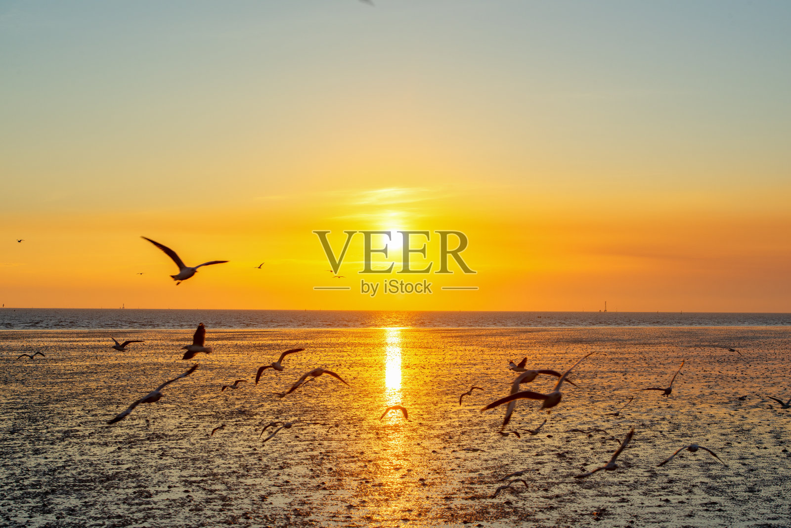 海鸥在日落时飞过海景，美丽的天空和海滩照片摄影图片