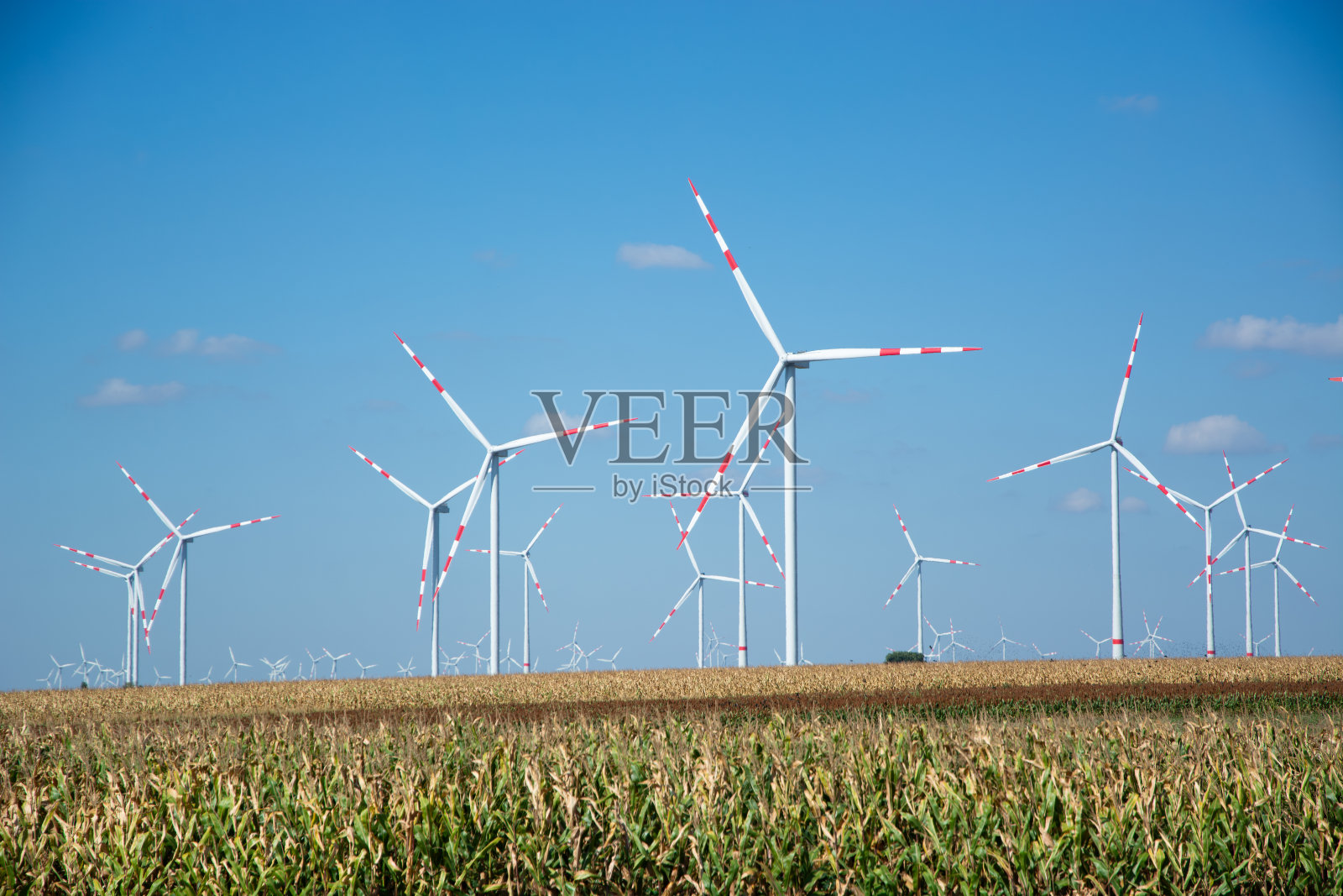 自然界中的风力涡轮机照片摄影图片