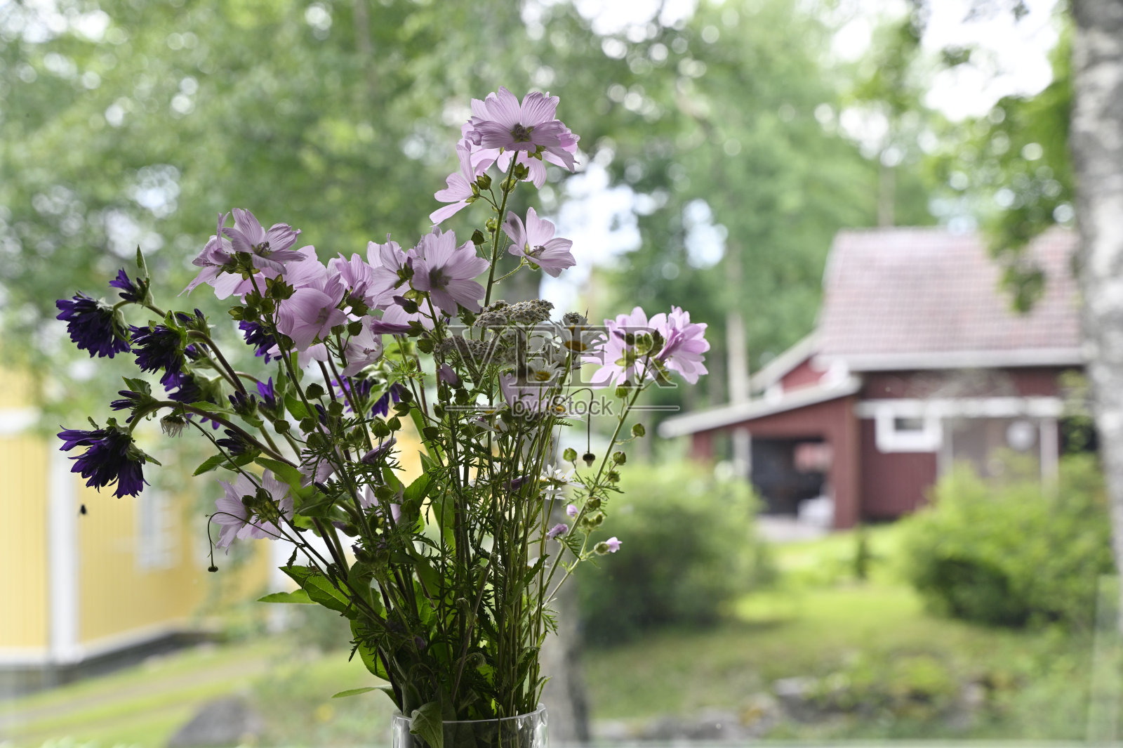 窗户边的花瓶里插着野花照片摄影图片