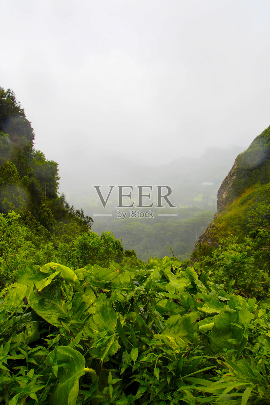 风景照片摄影图片