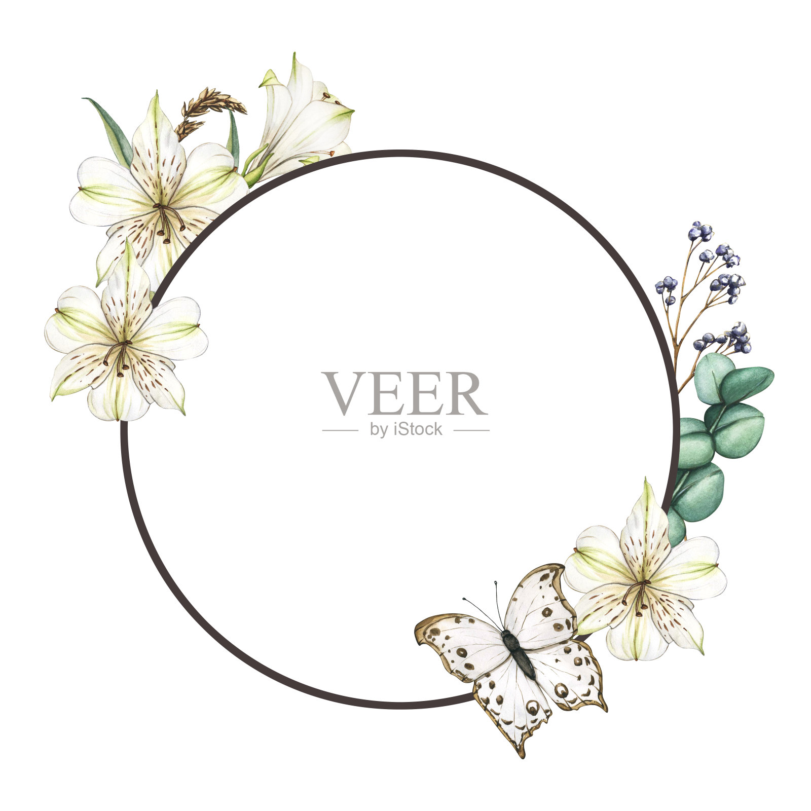 花框架与白色的花朵和蝴蝶。水彩画桤木花。百合特写构图。花卉植物花卉平面设计师装饰，产品设计和卡片插画图片素材