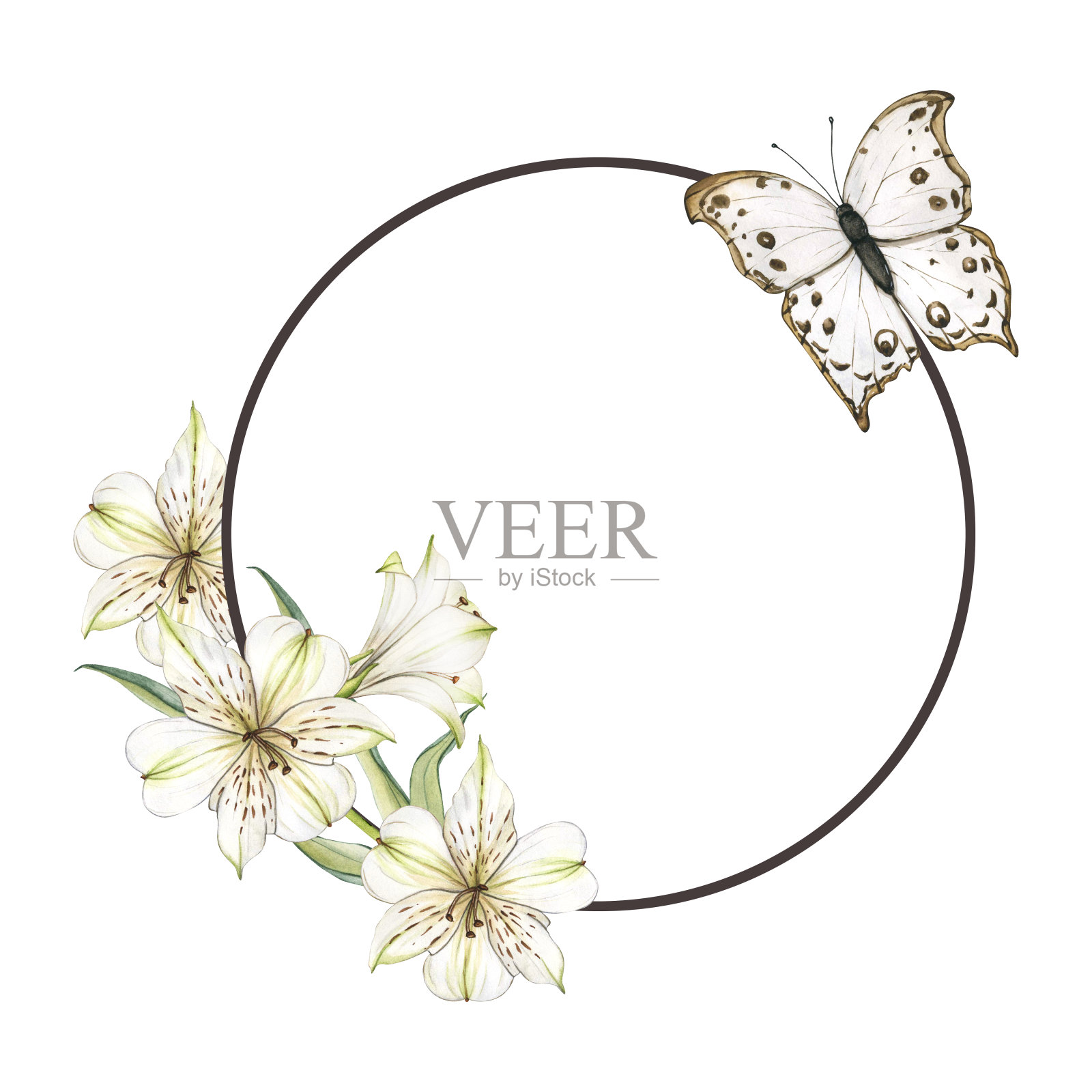 花框架与白色的花朵和蝴蝶。水彩画桤木花。百合特写构图。花卉植物花卉平面设计师装饰，产品设计和卡片插画图片素材