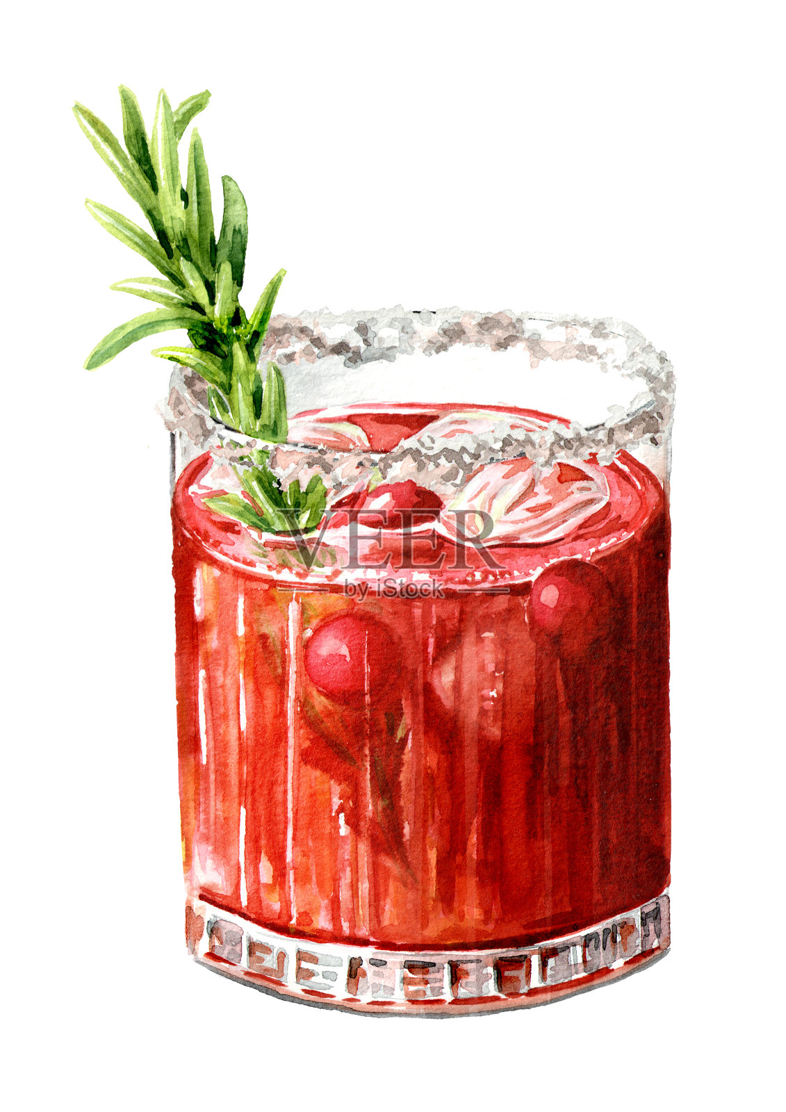 喜庆的圣诞饮品，清爽的迷迭香蔓越莓鸡尾酒。手绘水彩插图，孤立在白色背景上插画图片素材