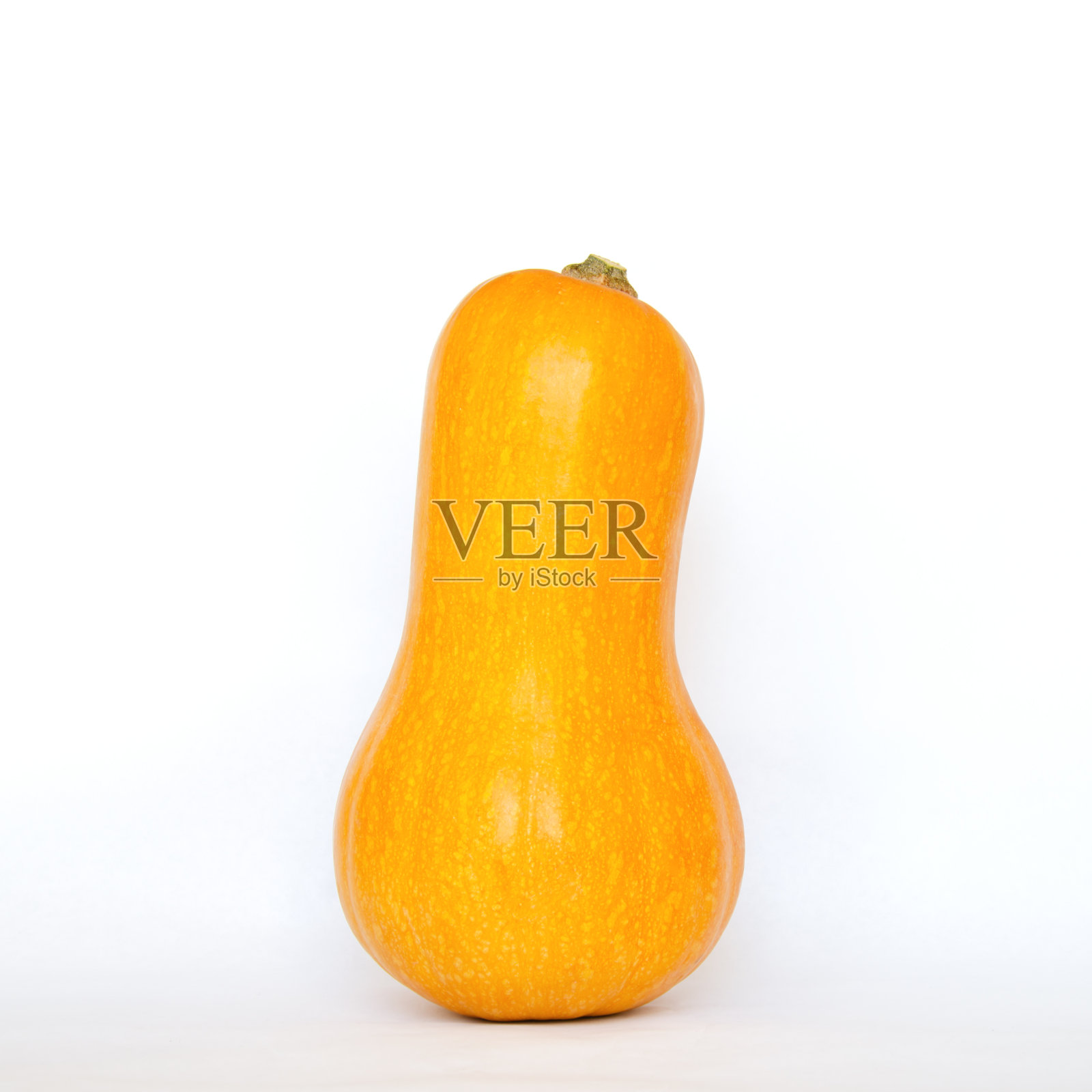 南瓜在淡淡的背景下，秋日丰收照片摄影图片