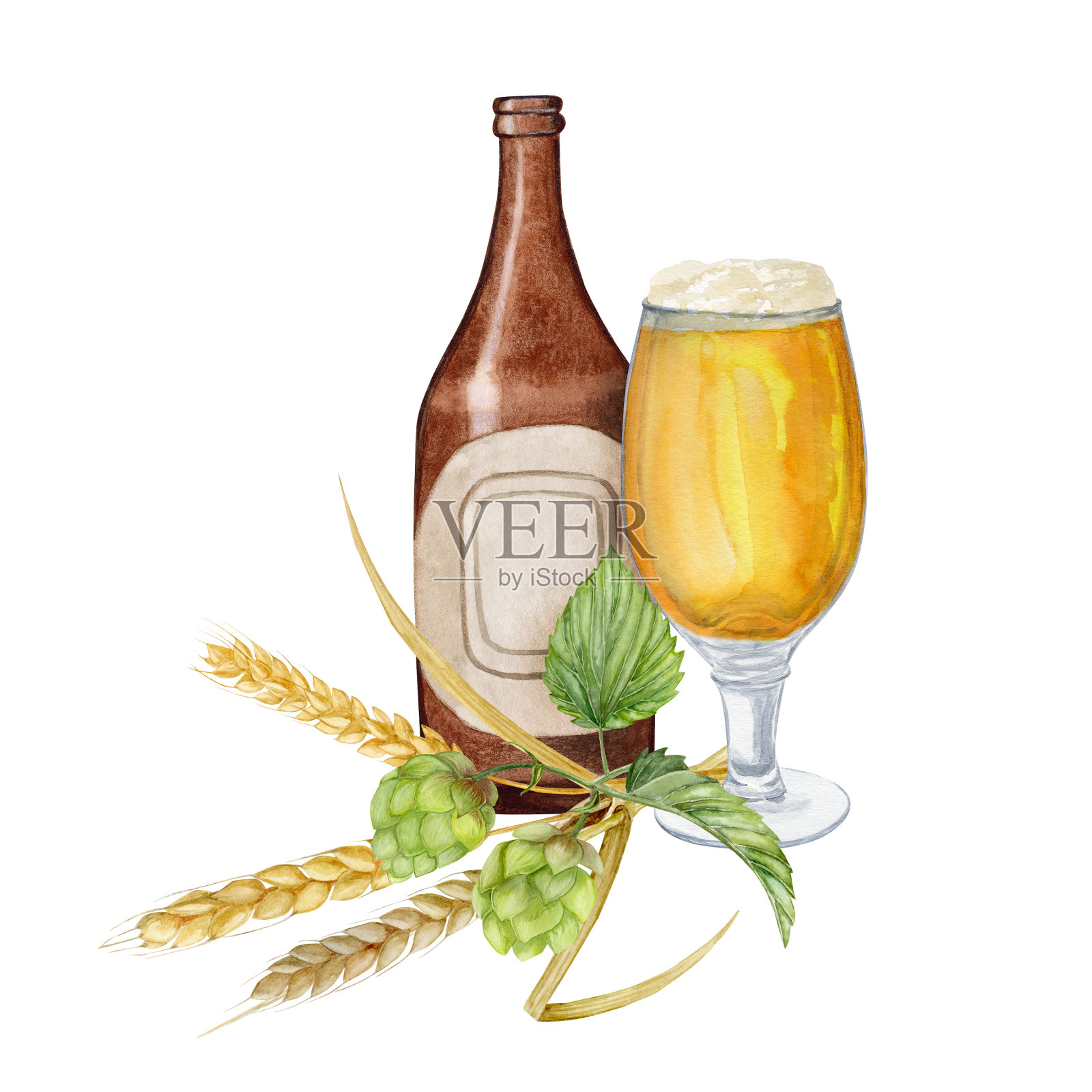 由啤酒花和麦芽组成的啤酒瓶和啤酒花酒杯插画图片素材