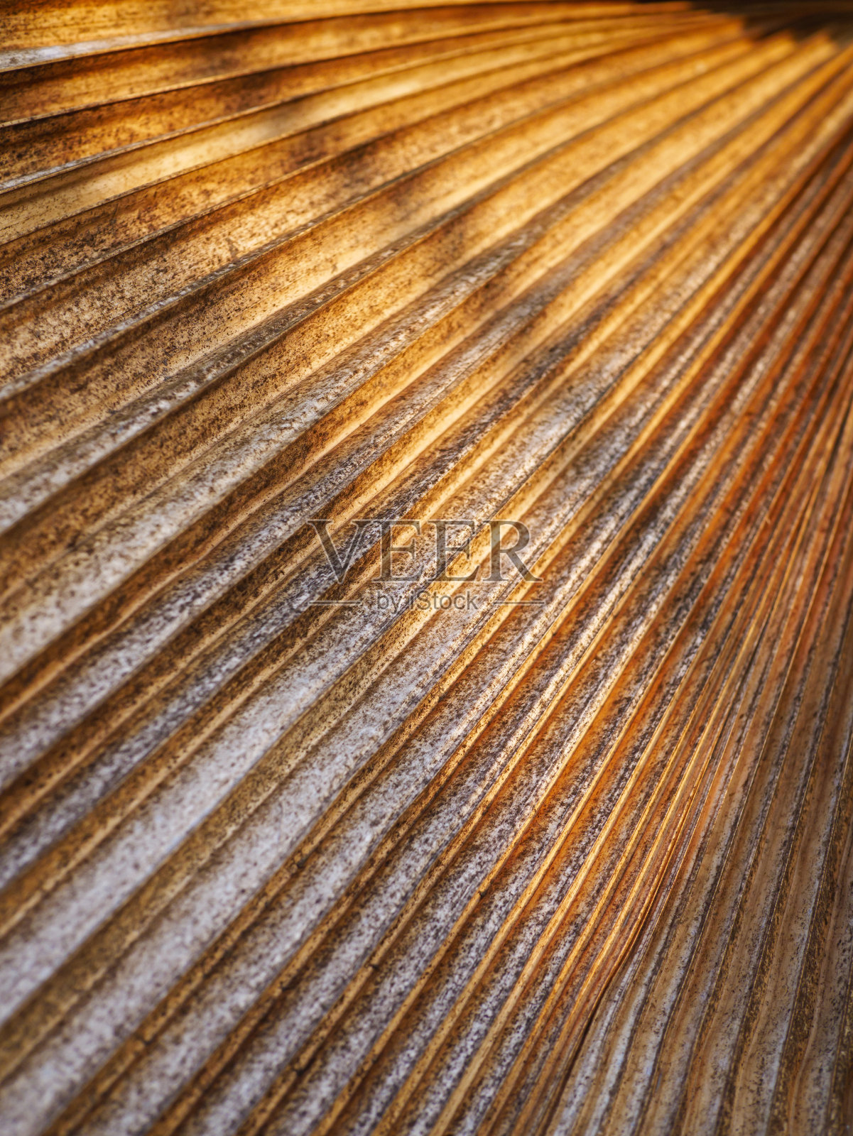 抽象干叶的直线图案和棕色叶表面的阳光。特写镜头照片摄影图片