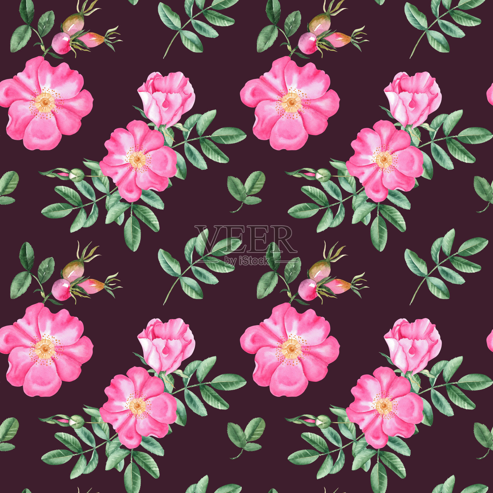 狗玫瑰花水彩无缝图案暗酒红色的背景。手绘植物插图。玫瑰果花，花蕾，树枝和浆果。可用于织物、纺织品、包装印花、墙纸设计。插画图片素材