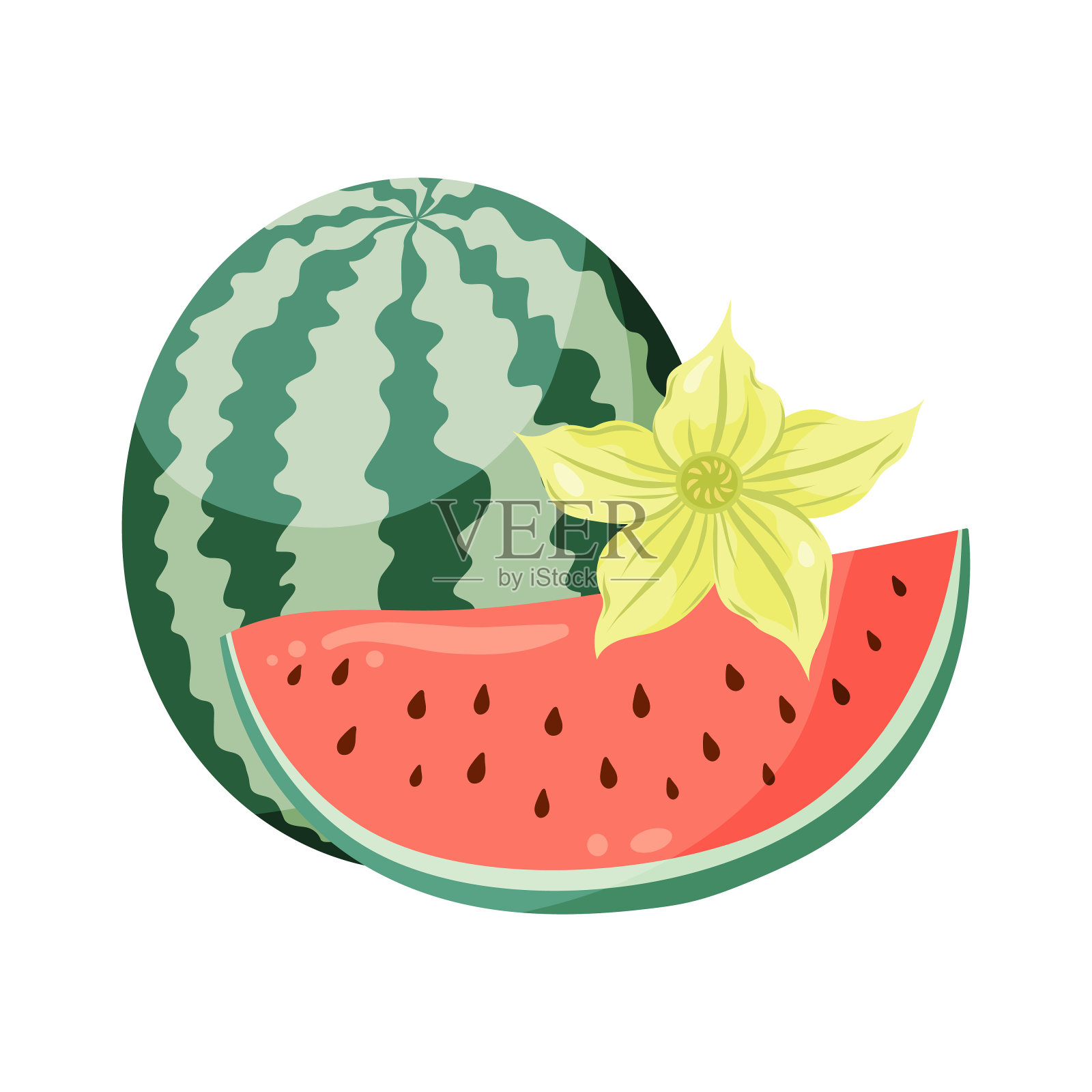 西瓜由整颗水果和一片西瓜组成，西瓜种植有花。平面矢量插图。热带水果绘制食品图形，夏季设计，菜单，标志，贴纸。插画图片素材
