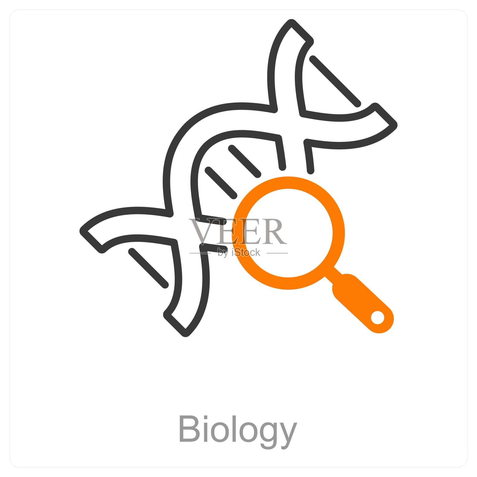 生物学插画图片素材